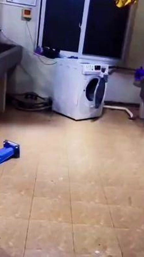 洗衣机脚垫 不容忽视的居家实用好物