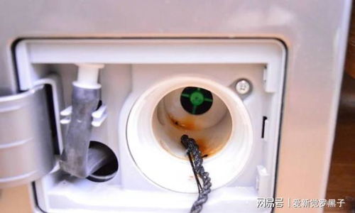 年末清洁大作战 你家的洗衣机该洗了，共享洗衣机清洁全攻略